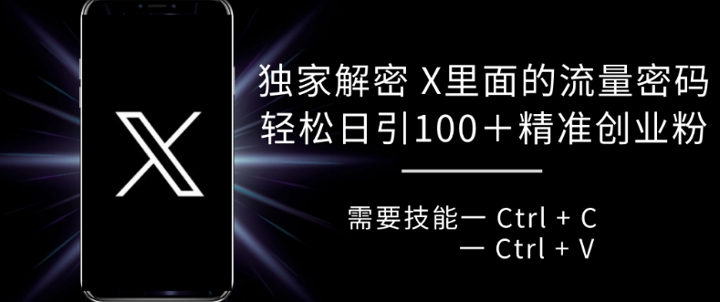 独家解密 X 里面的流量密码，复制粘贴轻松日引100+-八号资源库