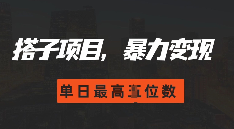 2024搭子玩法，0门槛，暴力变现，单日最高破四位数【揭秘】-八号资源库