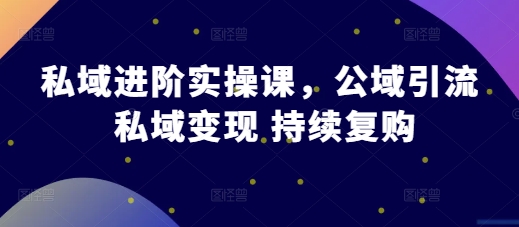 私域进阶实操课，公域引流 私域变现 持续复购-八号资源库