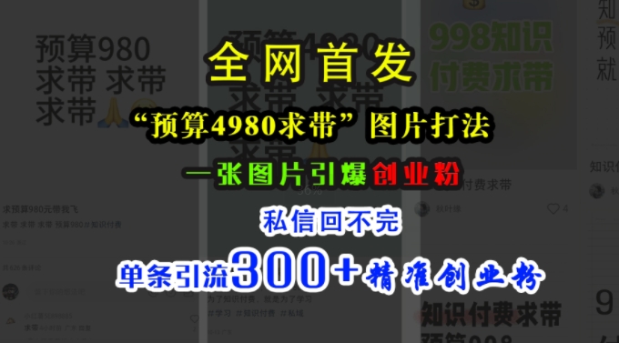 小红书“预算4980带我飞”图片打法，一张图片引爆创业粉，私信回不完，单条引流300+精准创业粉-八号资源库