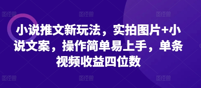 小说推文新玩法，实拍图片+小说文案，操作简单易上手，单条视频收益四位数-八号资源库
