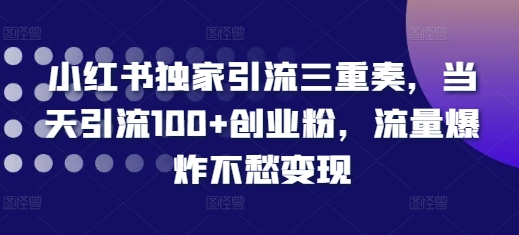 小红书独家引流三重奏，当天引流100+创业粉，流量爆炸不愁变现【揭秘】-八号资源库