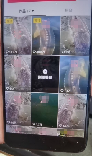 外面卖399的国学佛像原创暴力起号技术，快速起号，7天可达到一个万粉号-八号资源库
