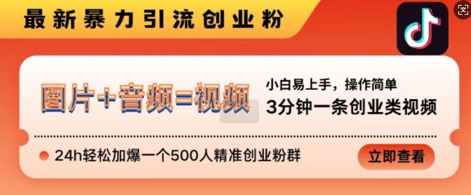 抖音最新暴力引流创业粉，3分钟一条创业类视频，24h轻松加爆一个500人精准创业粉群【揭秘】-八号资源库