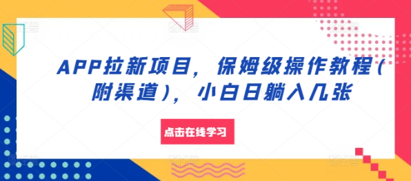 APP拉新项目，保姆级操作教程(附渠道)，小白日躺入几张【揭秘】-八号资源库