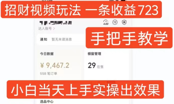 招财视频玩法，一条视频收益723，手把手教学，小白当天可上手-八号资源库
