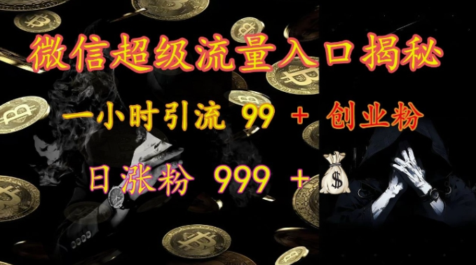 微信超级流量入口揭秘：一小时引流 99 + 创业粉，日涨粉 999 +-八号资源库
