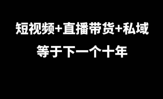 短视频+直播带货+私域等于下一个十年，大佬7年实战经验总结-八号资源库