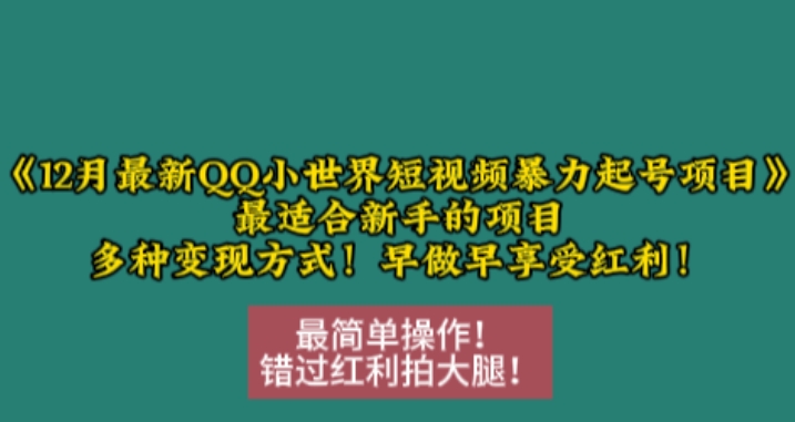 12月最新QQ小世界短视频暴力起号项目，最适合新手的项目，多种变现方式-八号资源库
