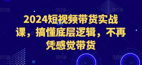 2024短视频带货实战课，搞懂底层逻辑，不再凭感觉带货-八号资源库