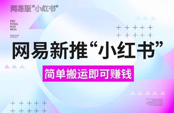 网易官方新推“小红书”，搬运即有收益，新手小白千万别错过(附详细教程)【揭秘】-八号资源库