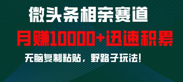 微头条相亲赛道，迅速积累，无脑复制粘贴，野路子玩法，月入1w-八号资源库