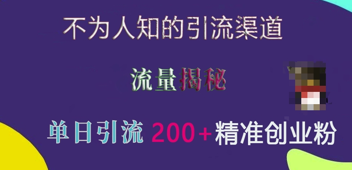 不为人知的引流渠道，流量揭秘，实测单日引流200+精准创业粉【揭秘】-八号资源库
