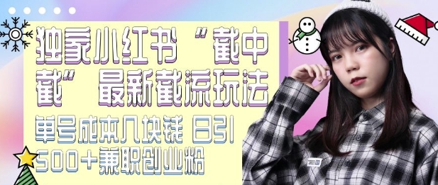 最新小红书截流玩法 独家截中截 单号成本几块钱 日引500+CY粉JZ粉-八号资源库
