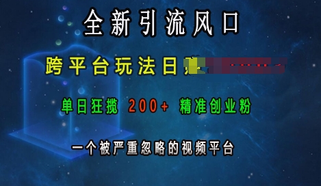 全新引流风口，跨平台玩法日入上k，单日狂揽200+精准创业粉，一个被严重忽略的视频平台-八号资源库
