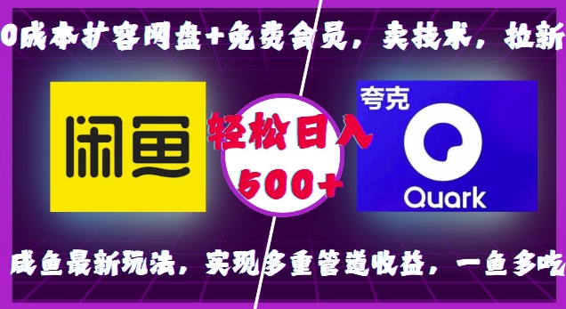 0成本扩容网盘+免费会员，卖技术，拉新，咸鱼最新玩法，实现多重管道收益，一鱼多吃，轻松日入500+-八号资源库