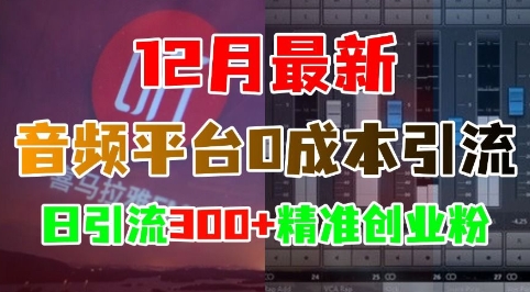 12月最新：音频平台0成本引流，日引流300+精准创业粉-八号资源库