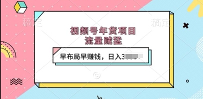 视频号年货项目，流量贼猛，早布局早挣钱，日入上k【揭秘】-八号资源库