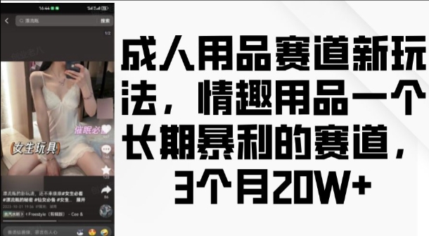 成人用品赛道新玩法，情趣用品一个长期暴利的赛道，3个月收益20个【揭秘】-八号资源库