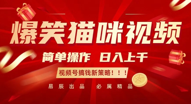爆笑猫咪视频：简单操作，日入过K，视频号搞钱新策略【揭秘】-八号资源库