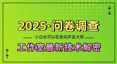 2025问卷调查最新工作室技术解密：一个人在家也可以闷声发大财，小白一天2张，可矩阵放大【揭秘】-八号资源库