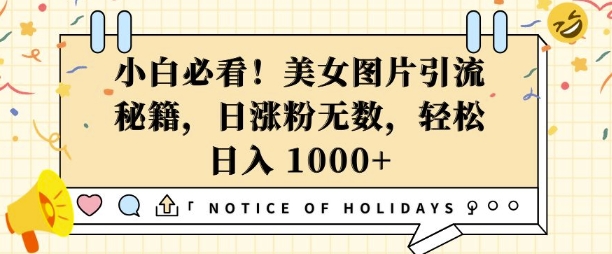 小白必看，美女图片引流秘籍，日涨粉无数，轻松日入几张【揭秘】-八号资源库