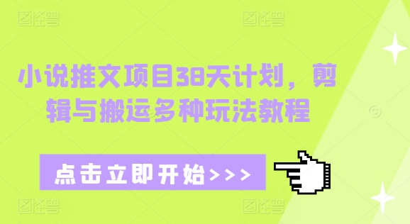 小说推文项目38天计划，剪辑与搬运多种玩法教程-八号资源库