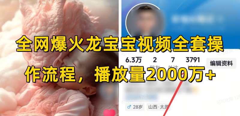 全网爆火龙宝宝视频全套操作流程，播放量2000万+-八号资源库