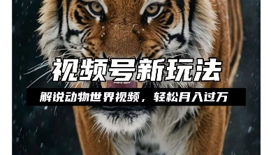 利用动物世界解说视频，赚分成计划收益，轻松月入过W，操作简单【揭秘】-八号资源库