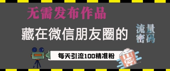 藏在微信朋友圈的流量密码，无需发布作品，单日引流100+精准创业粉【揭秘】-八号资源库