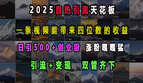 2025自热引流天花板，一条视频能带来四位数的收益，引流+变现双管齐下，日引500+创业粉，涨粉嘎嘎猛-八号资源库