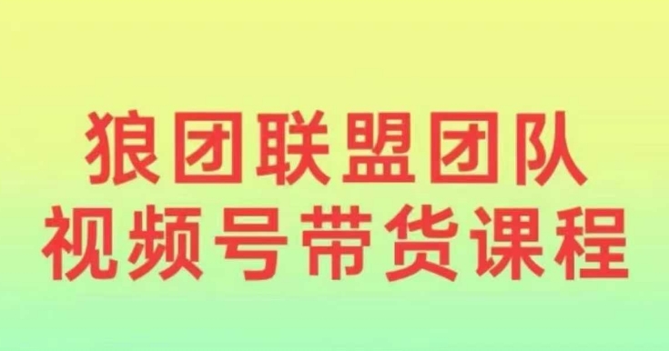 狼团联盟2024视频号带货，0基础小白快速入局视频号-八号资源库