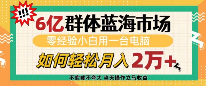 6亿群体蓝海市场，零经验小白用一台电脑，如何轻松月入过w【揭秘】-八号资源库