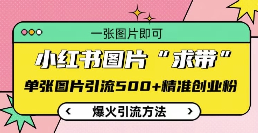 小红书图片‘求带’爆火引流法，单张图片引流500+精准创业粉【揭秘】-八号资源库
