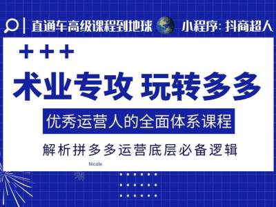 术业专攻玩转多多，优秀运营人的全面体系课程，解析拼多多运营底层必备逻辑-八号资源库