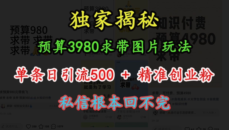 预算3980求带 图片玩法，单条日引流500+精准创业粉，私信根本回不完-八号资源库