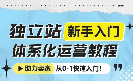 独立站新手入门体系化运营教程，助力独立站卖家从0-1快速入门!-八号资源库