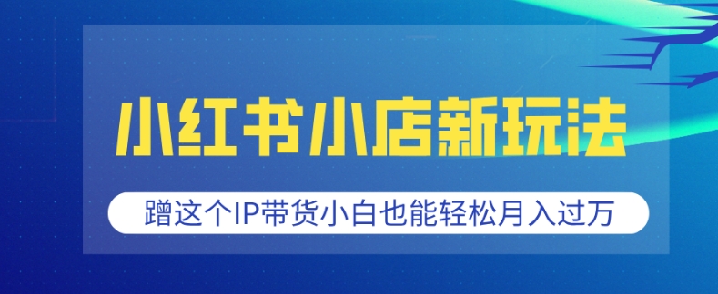 小红书小店新玩法，蹭这个IP带货，小白也能轻松月入过W【揭秘】-八号资源库