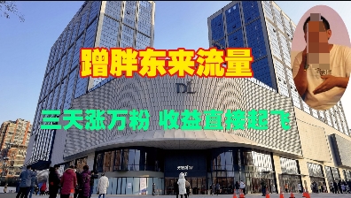 蹭胖东来流量，三天涨万粉，收益直接起飞-八号资源库
