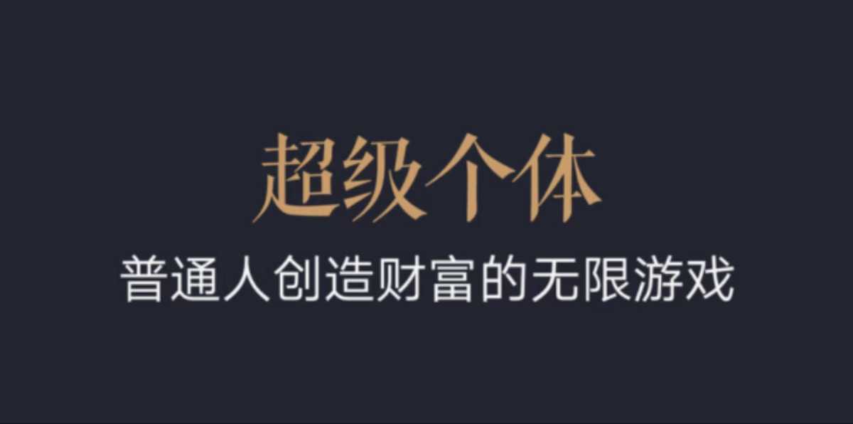 超级个体：2024-2025翻盘指南，普通人创造财富的无限游戏-八号资源库