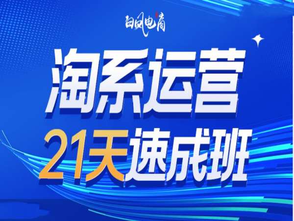 淘系运营21天速成班35期，年前最后一波和2025方向-八号资源库