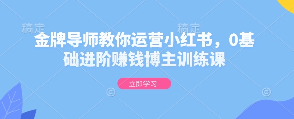 金牌导师教你运营小红书，0基础进阶赚钱博主训练课-八号资源库