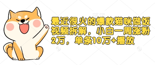 最近很火的爆款猫咪做饭视频拆解，小白一周涨粉2万，单条10万+播放(附保姆级教程)-八号资源库