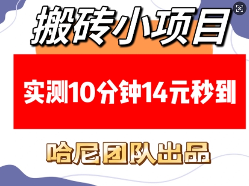 搬砖小项目，实测10分钟14元秒到，每天稳定几张(赠送必看稳定)-八号资源库
