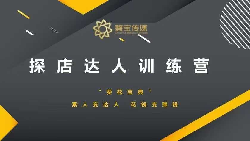 探店达人训练营，素人变达人，花钱变赚钱-八号资源库