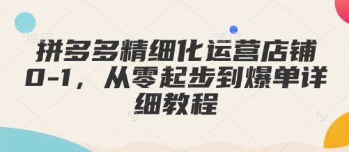 拼多多精细化运营店铺0-1，从零起步到爆单详细教程-八号资源库