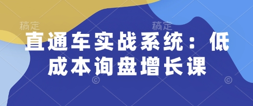 直通车实战系统：低成本询盘增长课，让个人通过技能实现升职加薪，让企业低成本获客，订单源源不断-八号资源库
