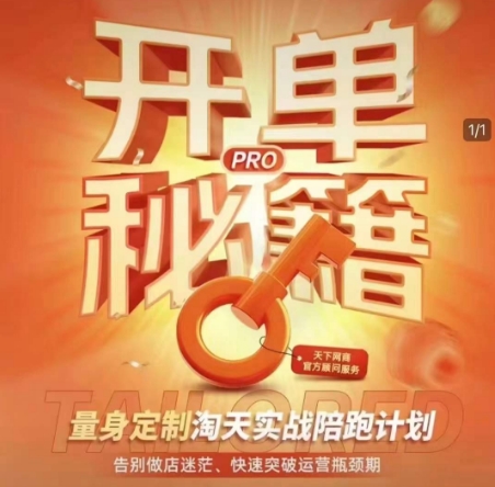 淘宝开单秘籍PRO，量身定制淘天实战陪跑计划，告别做店迷茫、快速突破运营瓶颈期-八号资源库