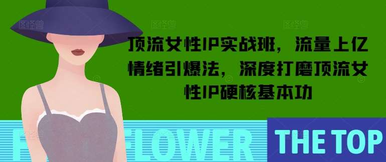 顶流女性IP实战班，流量上亿情绪引爆法，深度打磨顶流女性IP硬核基本功-八号资源库