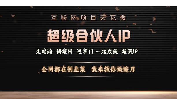 互联网项目天花板，超级合伙人IP，全网都在割韭菜，我来教你做镰刀【仅揭秘】-八号资源库